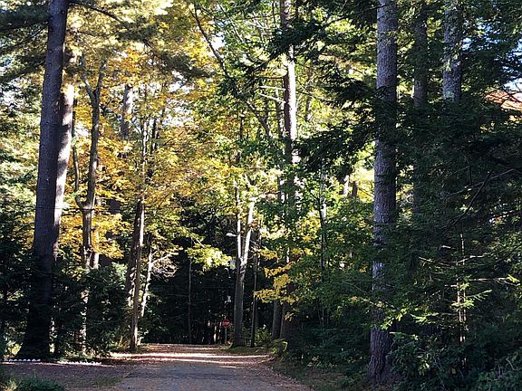 View from the house.