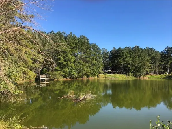 45075 Chemekette Rd, Robert, LA 70455