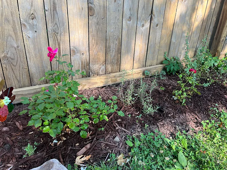 Fenced in backyard