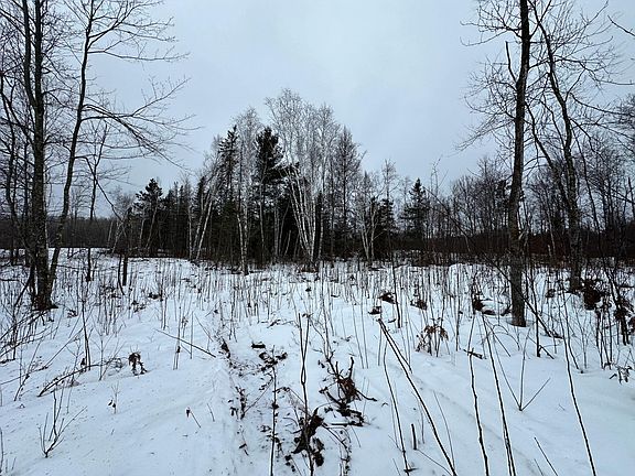 3rd image of 4 Koecher Rd