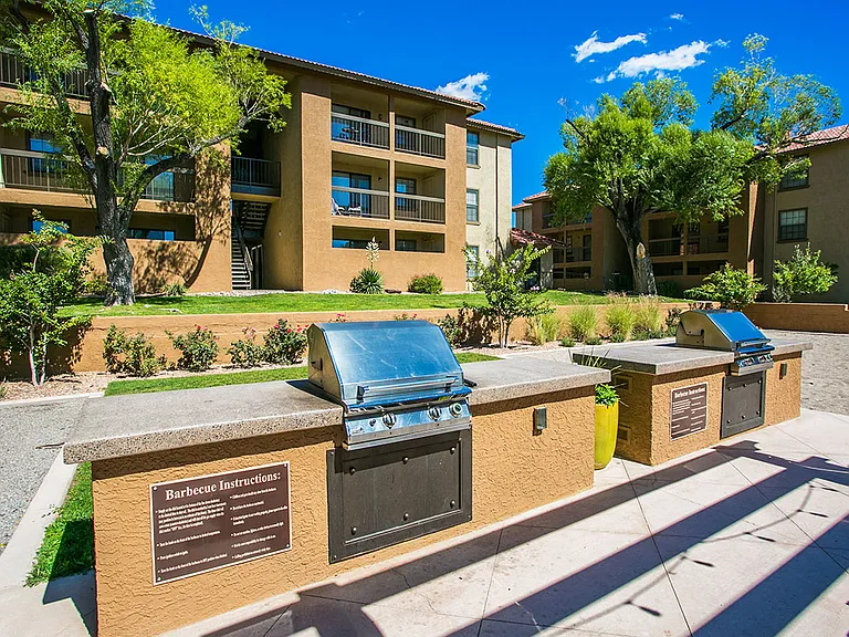 Outdoor BBQ Grills