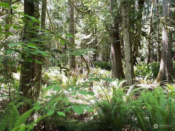 305000 Highway 101, Brinnon, WA 98320