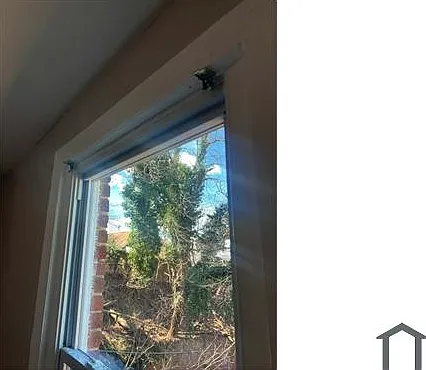 4 bed, $4,000 — Photo 2