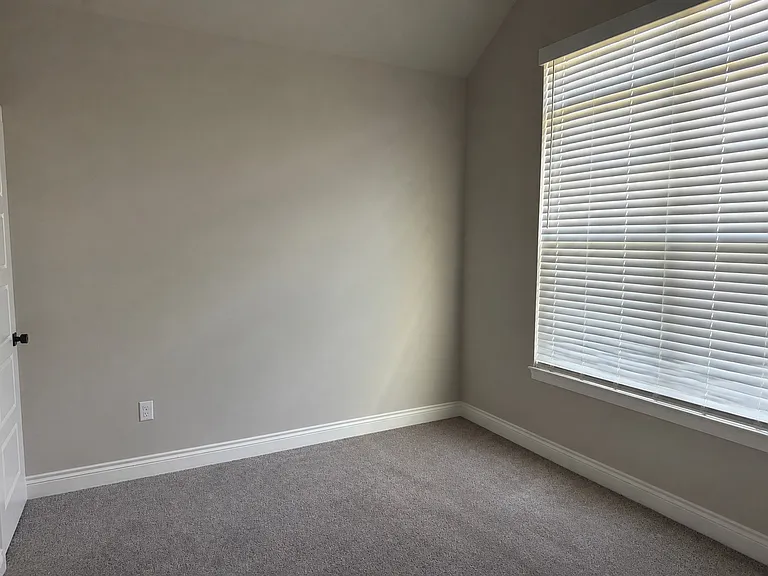 1161 Flat Rock St — Photo 16