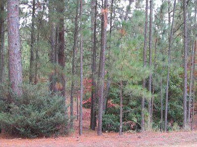 2nd image of 150 Lake Hills Rd