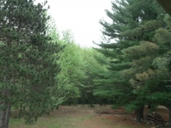 N2737 Ona Pines Rd Lot 8, Weyauwega, WI 54983