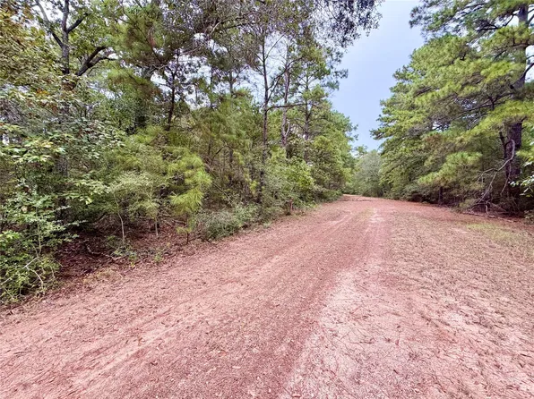 30819 Owl Dr Lot 17-18-19, Hempstead, TX 77445