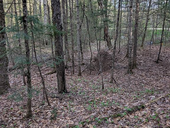 4th image of 0 Sugar Lake Rd