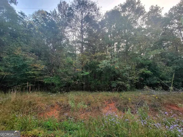 LOT 45&46 Sexton Ln, Lavonia, GA 30553