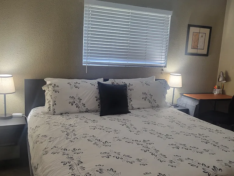 View of Master bedroom from door that leads to the back patio.