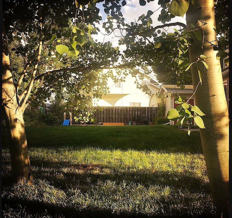 View of back yard from stree