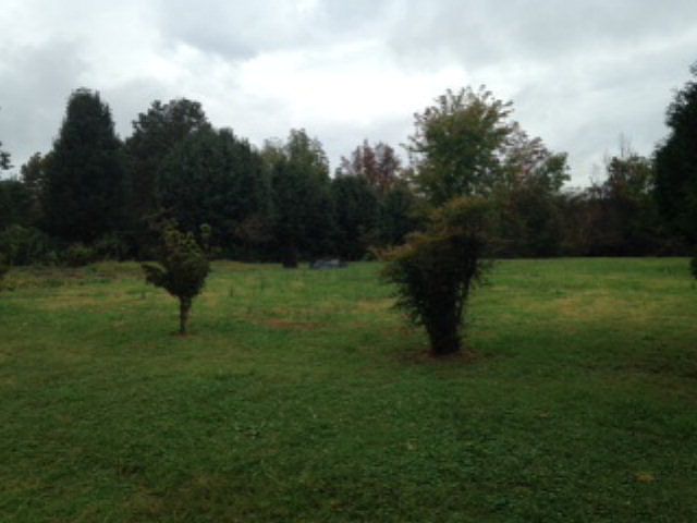 2nd image of 124 Sierra Ln