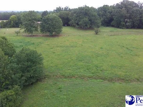 678 Adams Rd, Chesterfield, SC 29709