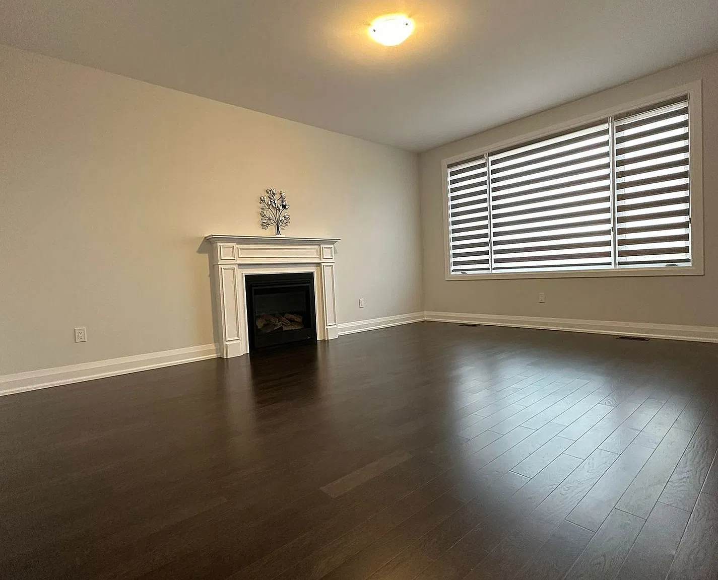 4 bed, $3,000 — Photo 4