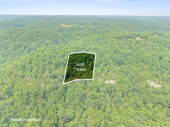 LOT 79 301 Oak Hill 79 Dr, Frenchburg, KY 40322