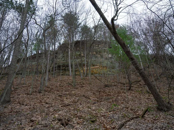 LOT 1 Russell Rd, New Lisbon, WI 53950