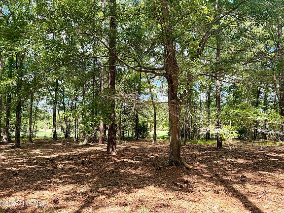 4th image of 2054 Arnold Palmer Drive LOT 2