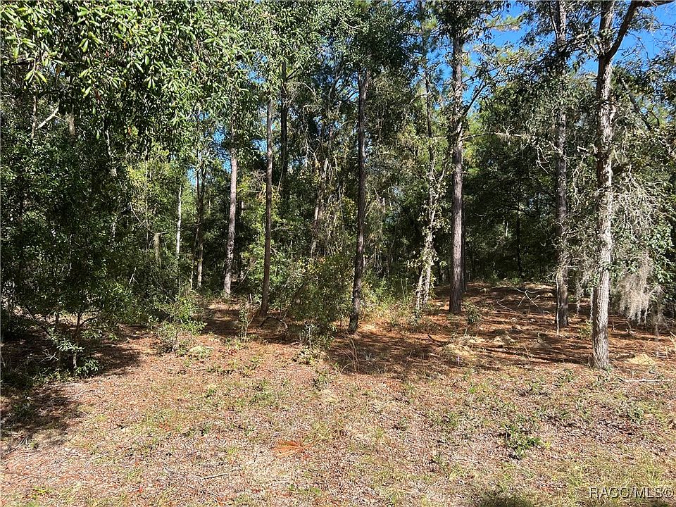 1st image of 803 E Panama Dr