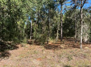 803 E Panama Dr, Citrus Springs, FL 34434