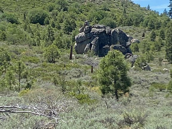 3rd image of Doyle Grade