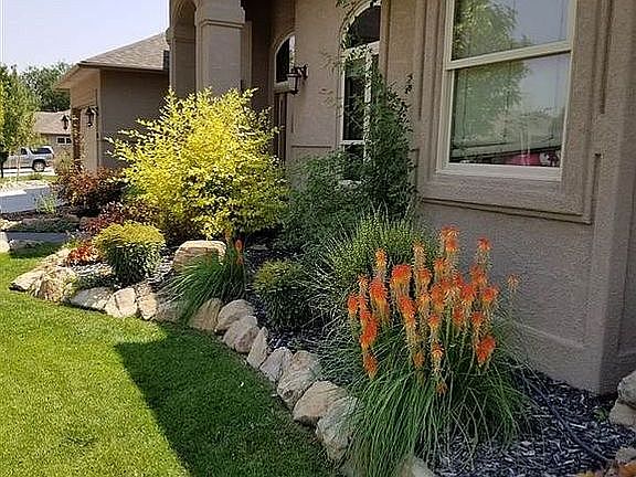 Front Yard