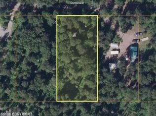 24100 W Johnson Dr, Willow, AK 99688