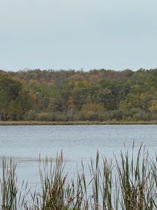 Minerva Lake Rd, Shevlin, MN, 56676