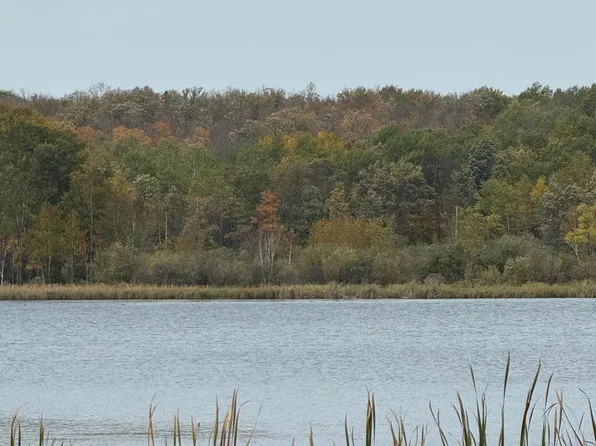 Minerva Lake Rd, Shevlin, MN 56676