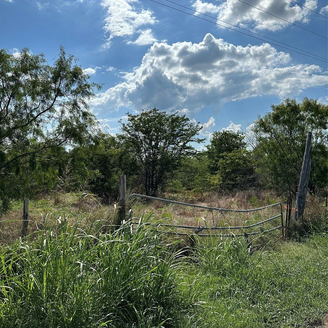 SW County Road 4200, Purdon, TX 76679 Zillow