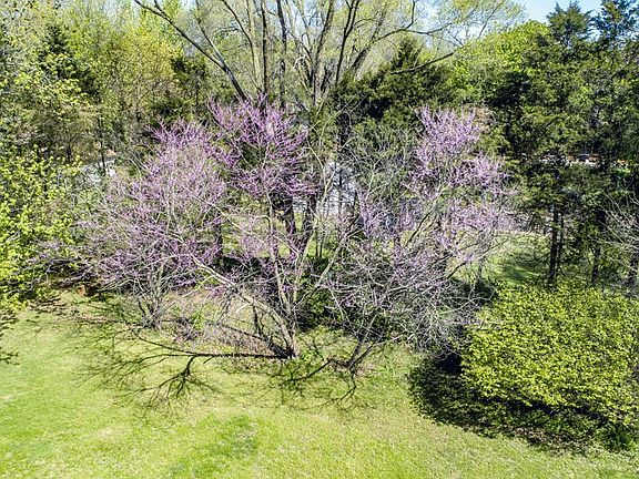 5th image of 30431 Sycamore Ln