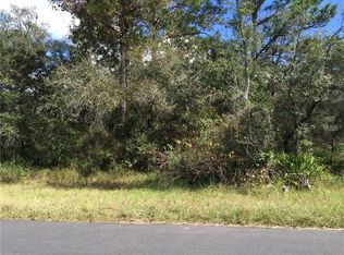 11384 Linnet Rd, Weeki Wachee, FL 34614