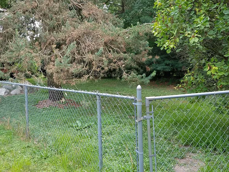 521 N Hagadorn Rd — Photo 36