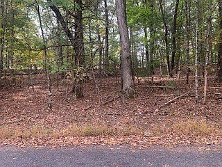 4th image of 4 Cane Creek Rdg