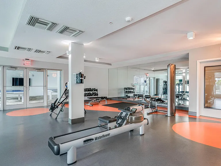 Gym with Free Weights, WaterRower, and Inversion Benches for Full Body Training