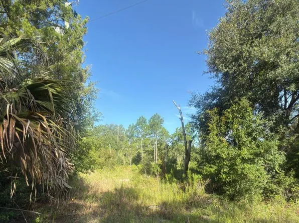 19037 PARAKEET ROAD LOT 16, BROOKSVILLE, FL 34614