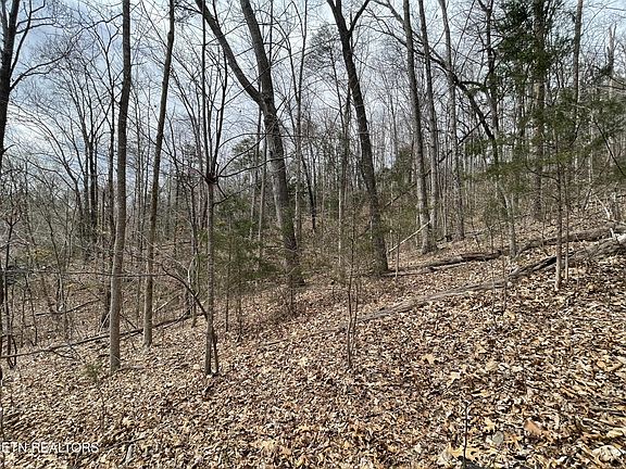 3rd image of 120 Laurel Lake Cir Lot 120