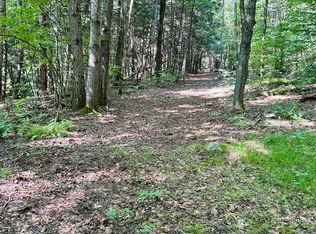 L1312 W Hague Rd, Hague, NY 12836