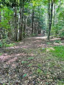 L1.312 W Hague Road, Hague, NY, 12836
