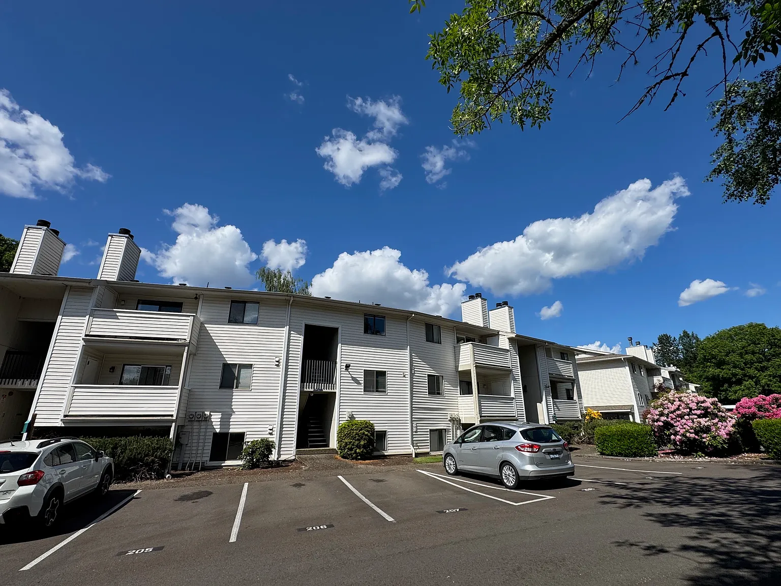 1 bed, 596 sqft, $1,345 — Photo 2