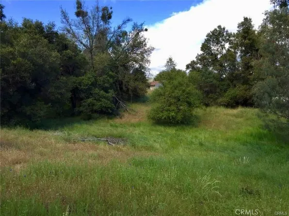 Live Oak Dr, Oakhurst, CA 93644