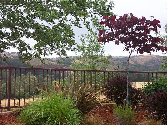 Beautiful Canyon View