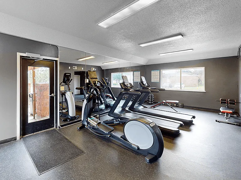 Cardio Equipment