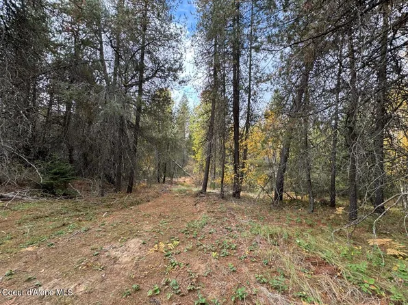 Nka Rascals Rd, Sandpoint, ID 83864