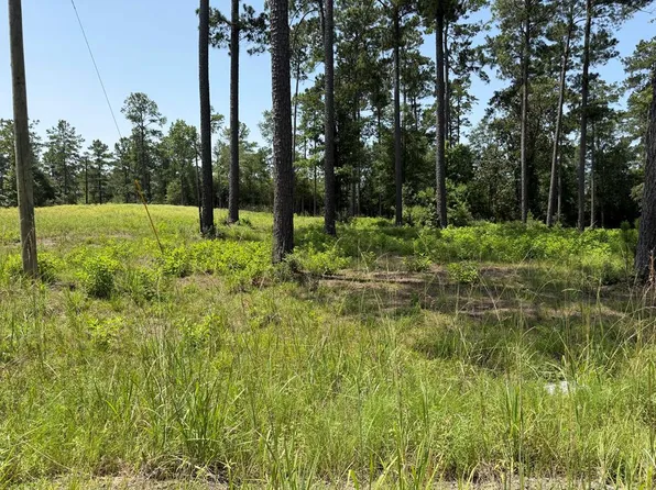 LOT 2 Private Road 6028, Brookeland, TX 75931