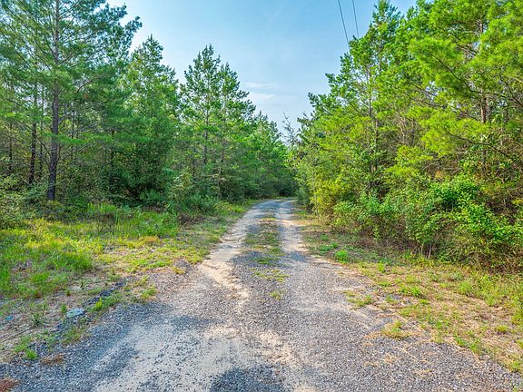 2nd image of 11689 Outlook Rd