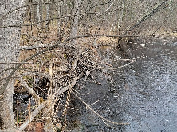 5th image of 7213W Smith Road