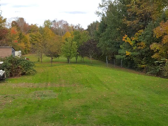 Back yard, fruit trees