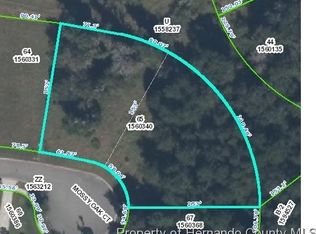 19597 Mossy Oak Ct, Brooksville, FL 34601