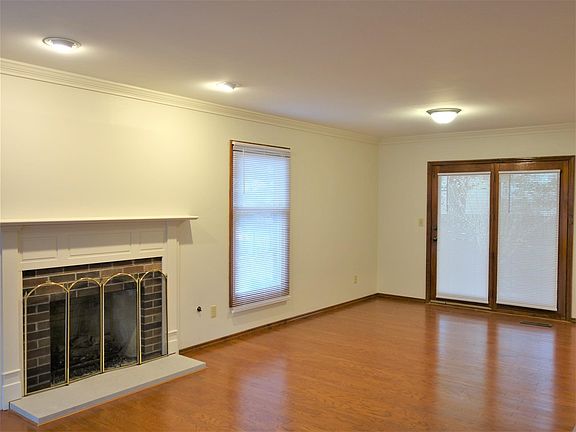 Fireplace and Patio Door