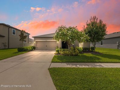 12313 Criollo Rd, Spring Hill, FL, 34610